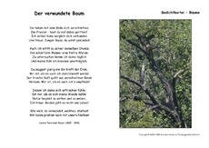 Der verwundete Baum-Meyer.pdf